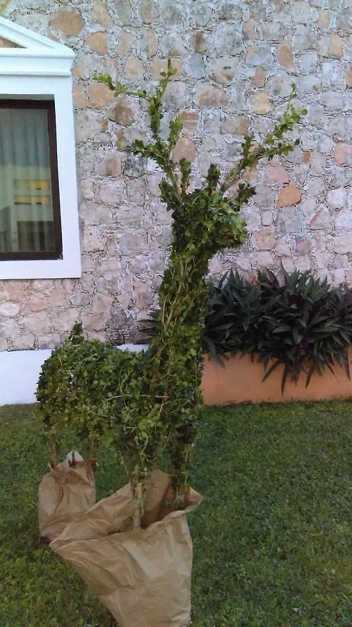فندق ميريدافي  Quinta Real المكسيك